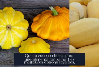 Quelle courge choisir pour une alimentation saine Les meilleures options révélées.