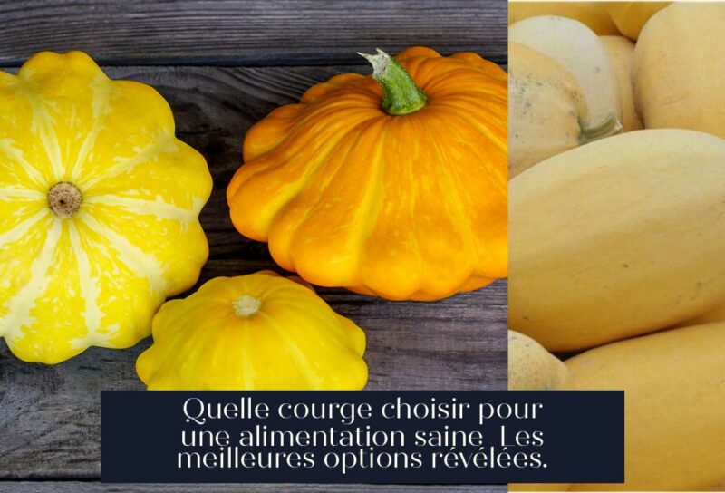 Quelle courge choisir pour une alimentation saine Les meilleures options révélées.