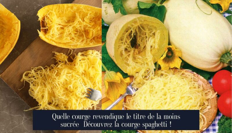 Quelle courge revendique le titre de la moins sucrée Découvrez la courge spaghetti !