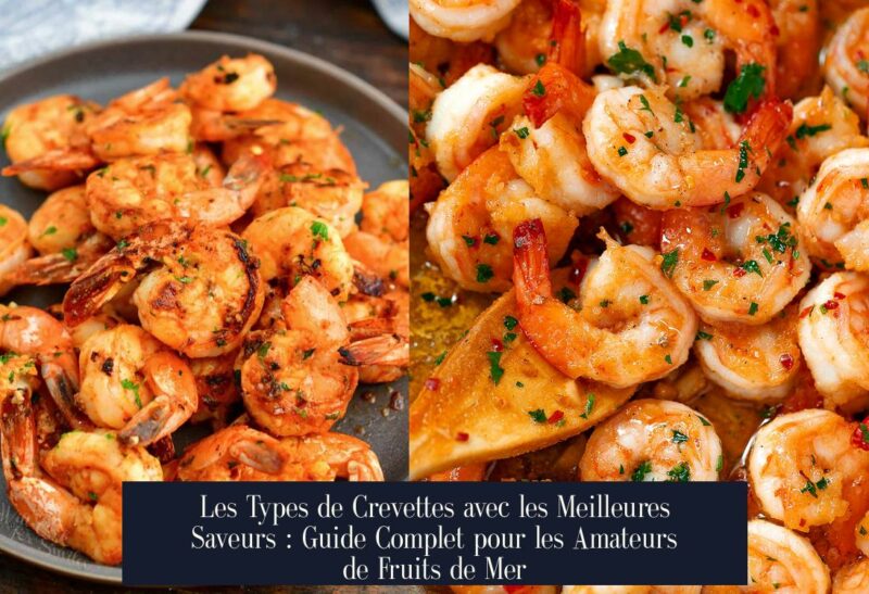 Les Types de Crevettes avec les Meilleures Saveurs : Guide Complet pour les Amateurs de Fruits de Mer