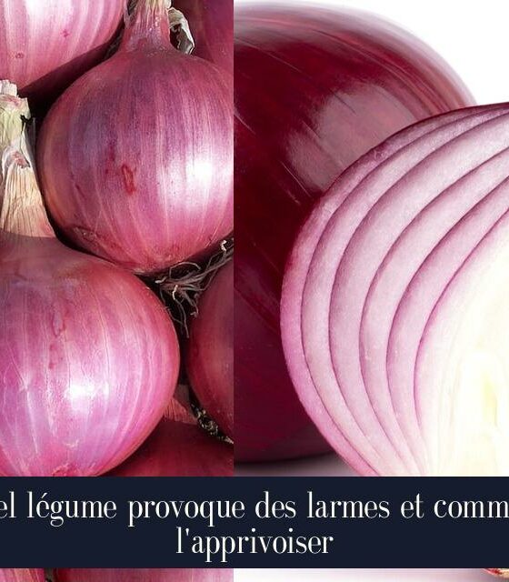 Quel légume provoque des larmes et comment l'apprivoiser
