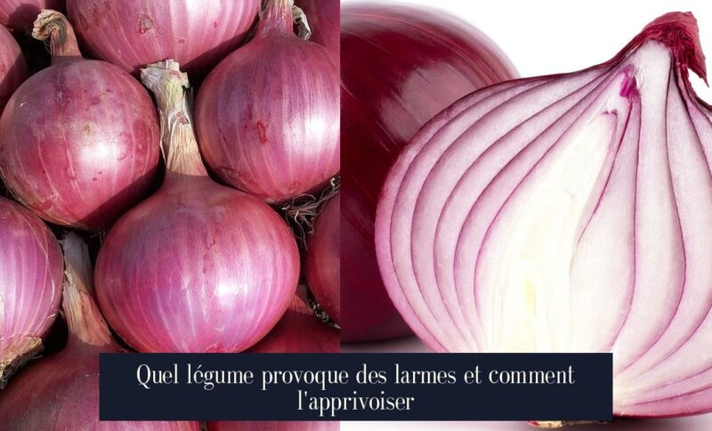 Quel légume provoque des larmes et comment l'apprivoiser