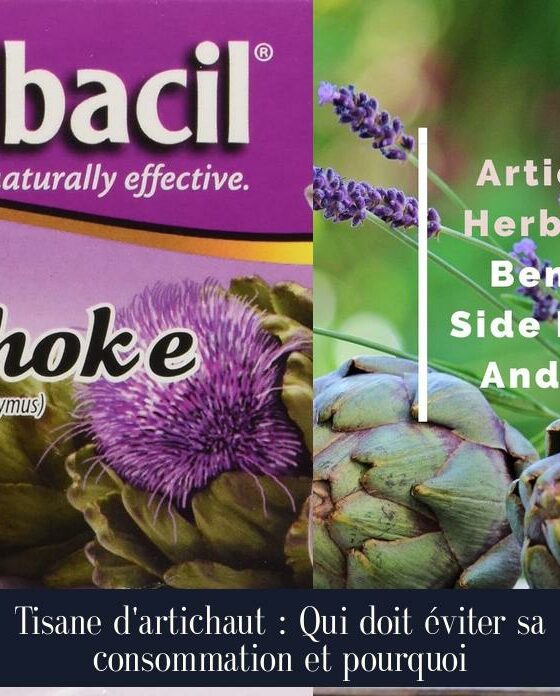 Tisane d'artichaut : Qui doit éviter sa consommation et pourquoi
