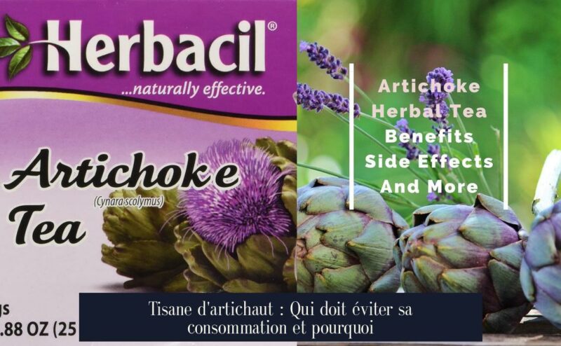 Tisane d'artichaut : Qui doit éviter sa consommation et pourquoi