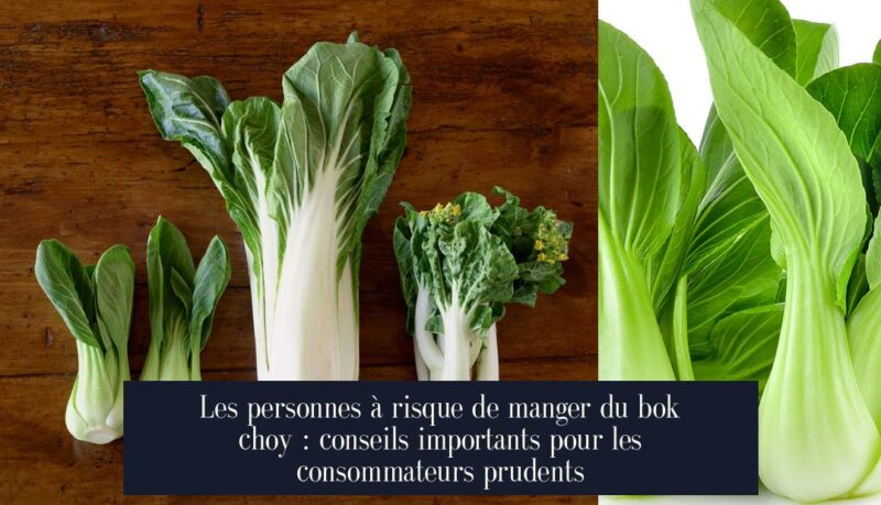 Les personnes à risque de manger du bok choy : conseils importants pour les consommateurs prudents
