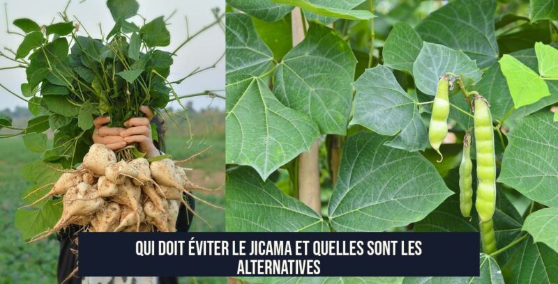 Qui doit éviter le jicama et quelles sont les alternatives