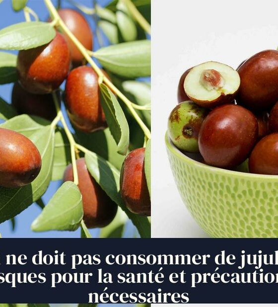 Qui ne doit pas consommer de jujube : risques pour la santé et précautions nécessaires