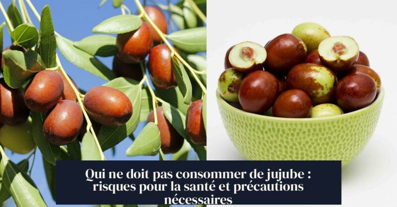 Qui ne doit pas consommer de jujube : risques pour la santé et précautions nécessaires