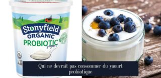 Qui ne devrait pas consommer du yaourt probiotique