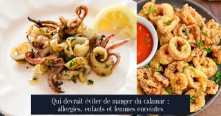 Qui devrait éviter de manger du calamar : allergies, enfants et femmes enceintes