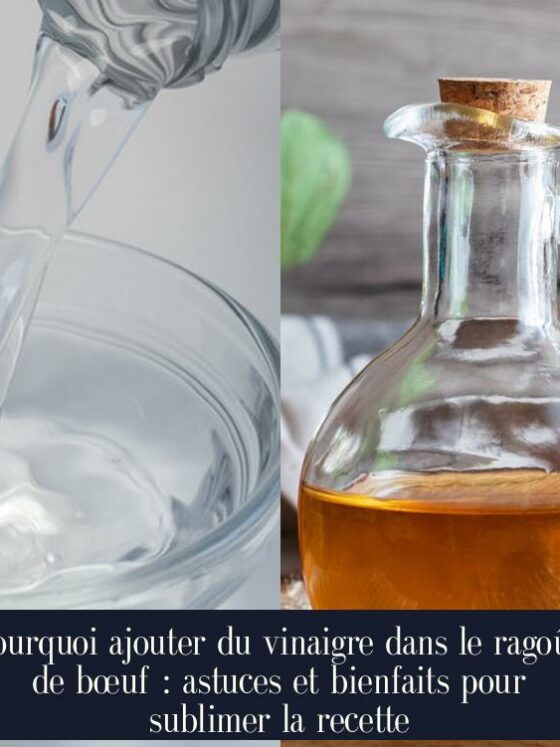 Pourquoi ajouter du vinaigre dans le ragoût de bœuf : astuces et bienfaits pour sublimer la recette