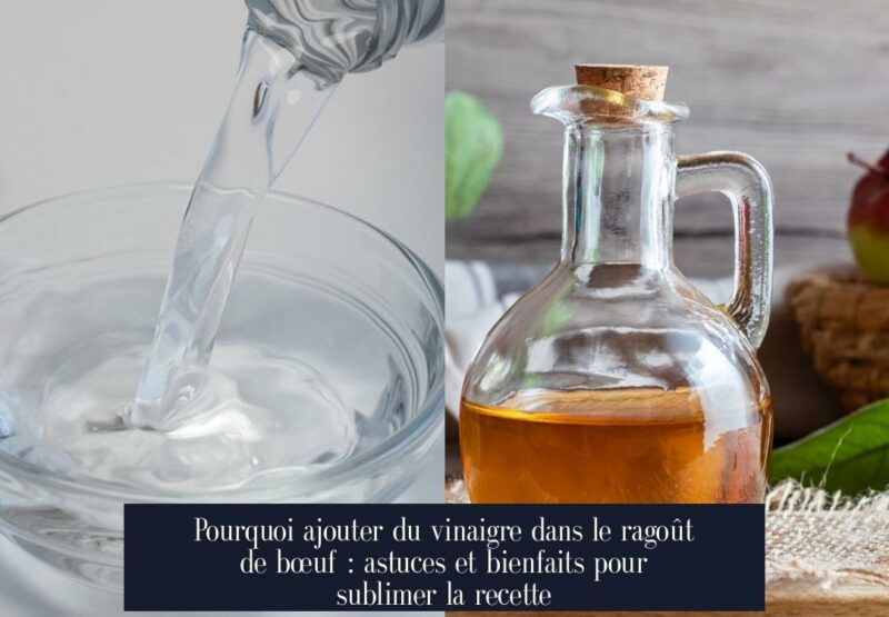 Pourquoi ajouter du vinaigre dans le ragoût de bœuf : astuces et bienfaits pour sublimer la recette
