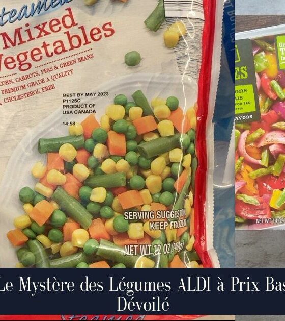 Le Mystère des Légumes ALDI à Prix Bas Dévoilé