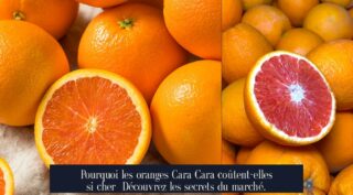 Pourquoi les oranges Cara Cara coûtent-elles si cher Découvrez les secrets du marché.