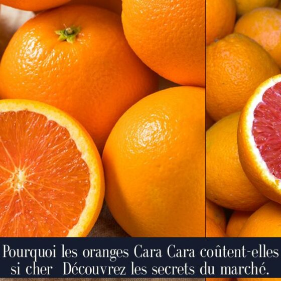 Pourquoi les oranges Cara Cara coûtent-elles si cher Découvrez les secrets du marché.