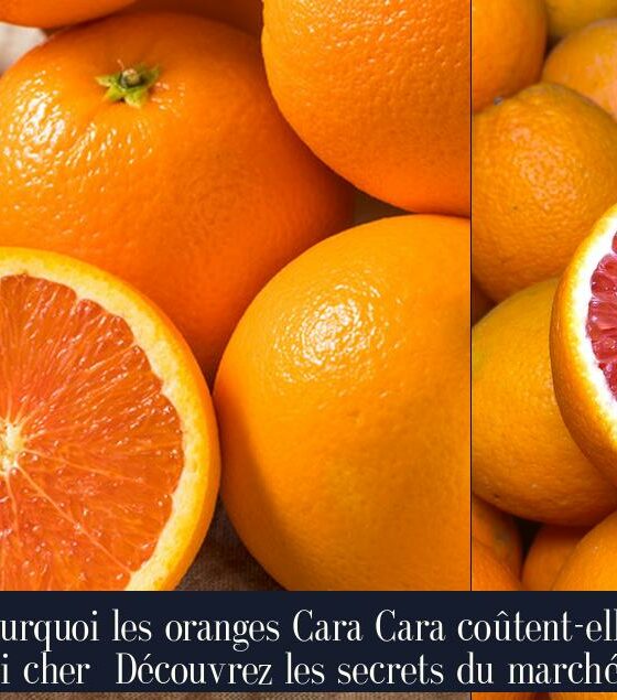 Pourquoi les oranges Cara Cara coûtent-elles si cher Découvrez les secrets du marché.
