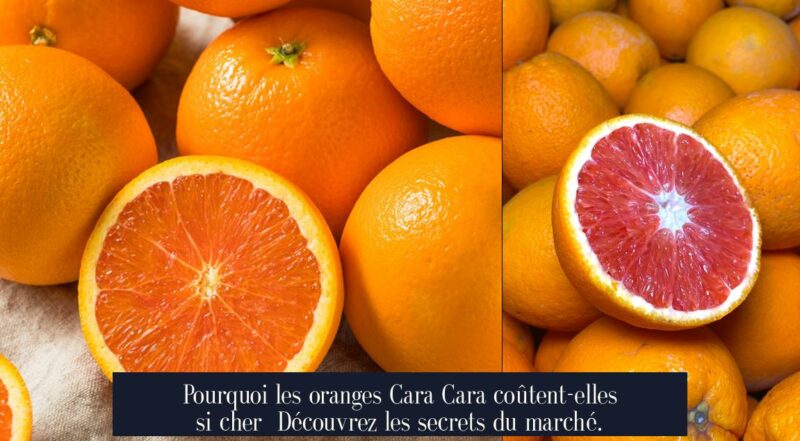 Pourquoi les oranges Cara Cara coûtent-elles si cher Découvrez les secrets du marché.