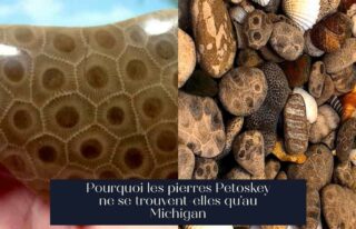 Pourquoi les pierres Petoskey ne se trouvent-elles qu'au Michigan