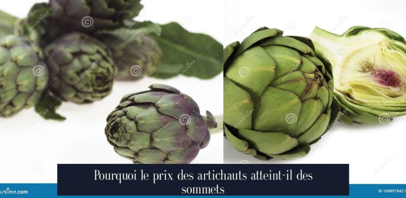 Pourquoi le prix des artichauts atteint-il des sommets