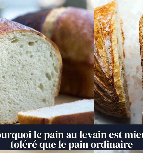 Pourquoi le pain au levain est mieux toléré que le pain ordinaire