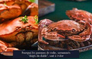Pourquoi les poumons de crabe, surnommés "doigts du diable", sont à éviter