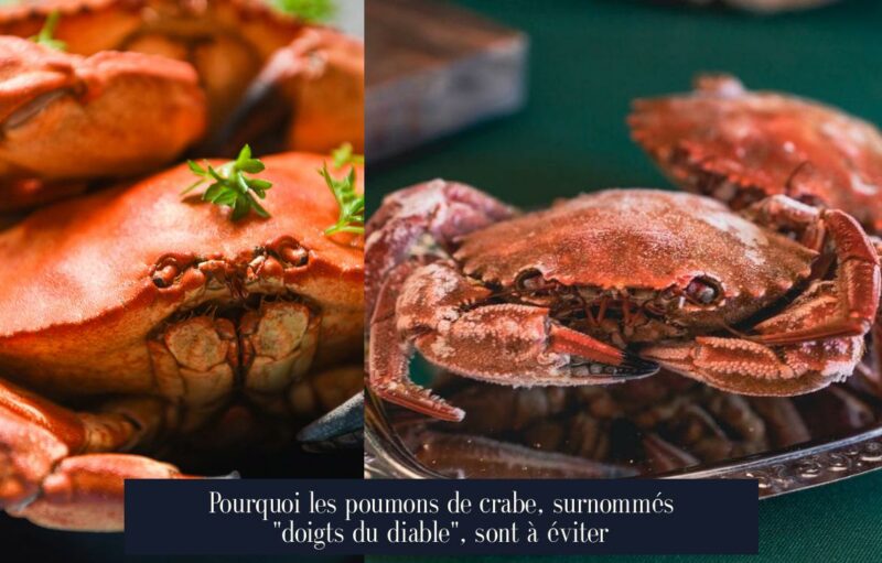 Pourquoi les poumons de crabe, surnommés "doigts du diable", sont à éviter