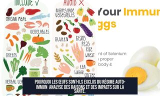 Pourquoi les œufs sont-ils exclus du régime auto-immun Analyse des raisons et des impacts sur la santé.
