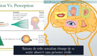 Raisons de cette sensation étrange de se sentir observé sans présence réelle