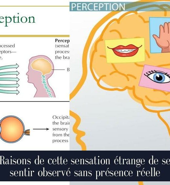 Raisons de cette sensation étrange de se sentir observé sans présence réelle