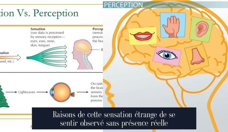 Raisons de cette sensation étrange de se sentir observé sans présence réelle
