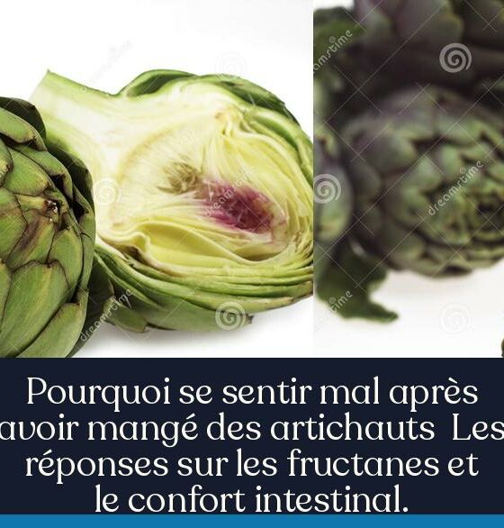 Pourquoi se sentir mal après avoir mangé des artichauts Les réponses sur les fructanes et le confort intestinal.