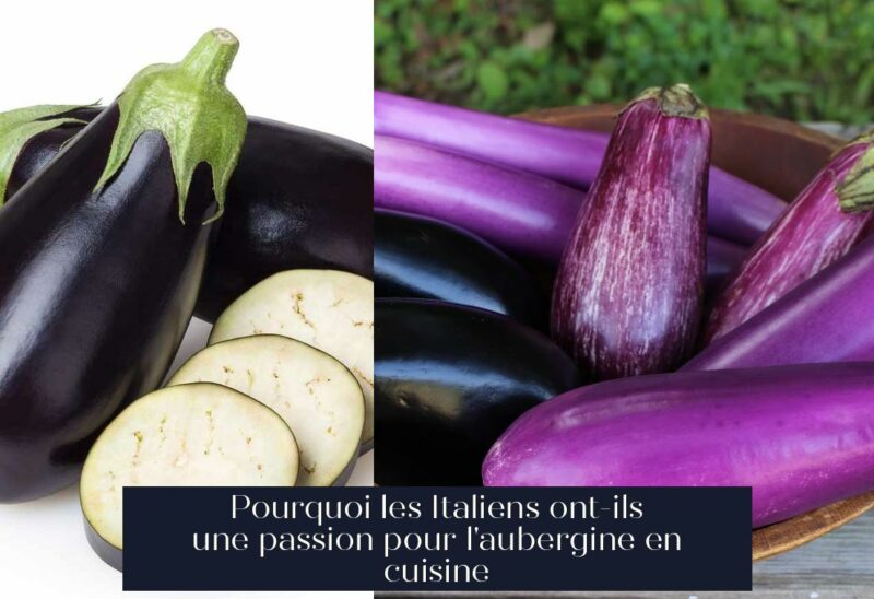 Pourquoi les Italiens ont-ils une passion pour l'aubergine en cuisine