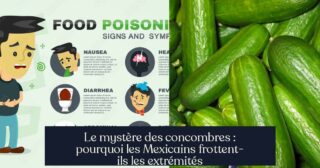 Le mystère des concombres : pourquoi les Mexicains frottent-ils les extrémités