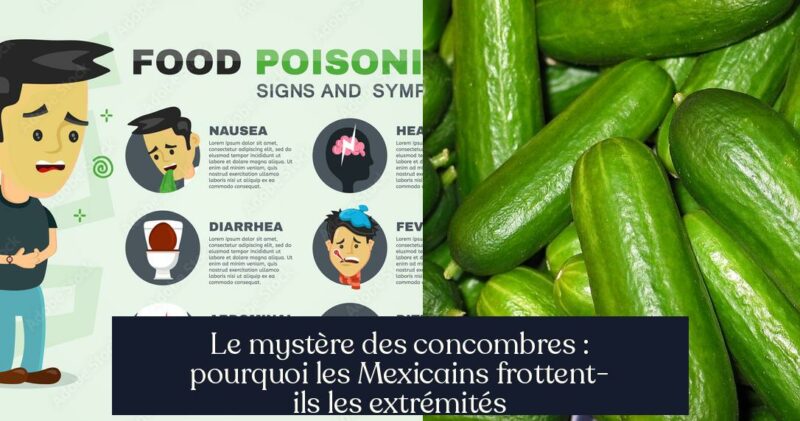 Le mystère des concombres : pourquoi les Mexicains frottent-ils les extrémités