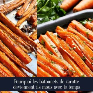 Pourquoi les bâtonnets de carotte deviennent-ils mous avec le temps