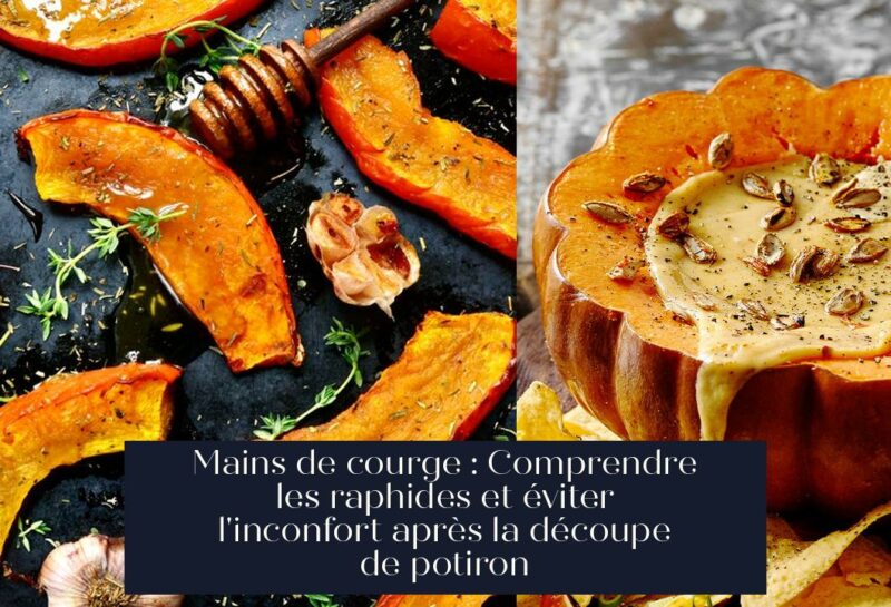 Mains de courge : Comprendre les raphides et éviter l'inconfort après la découpe de potiron