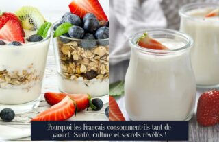 Pourquoi les Français consomment-ils tant de yaourt Santé, culture et secrets révélés !