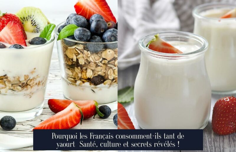 Pourquoi les Français consomment-ils tant de yaourt Santé, culture et secrets révélés !