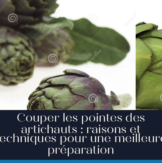 Couper les pointes des artichauts : raisons et techniques pour une meilleure préparation