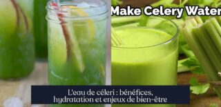 L'eau de céleri : bénéfices, hydratation et enjeux de bien-être