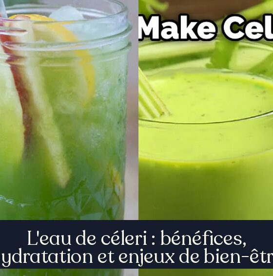 L'eau de céleri : bénéfices, hydratation et enjeux de bien-être