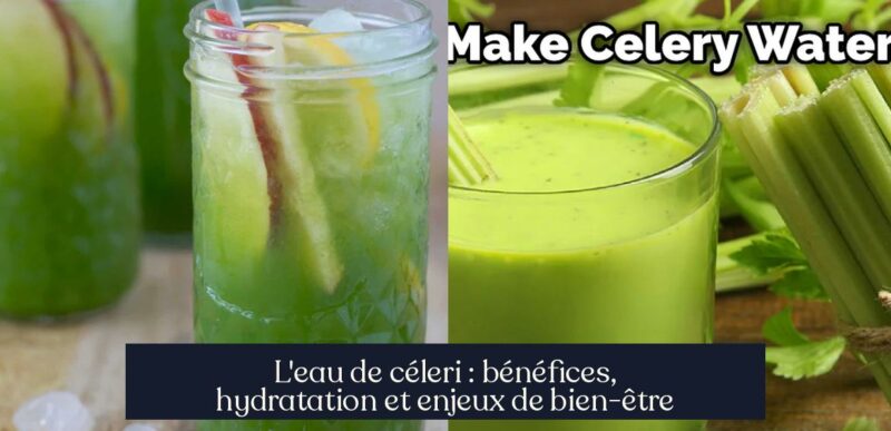 L'eau de céleri : bénéfices, hydratation et enjeux de bien-être