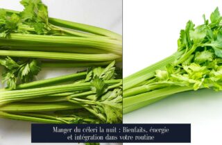 Manger du céleri la nuit : Bienfaits, énergie et intégration dans votre routine