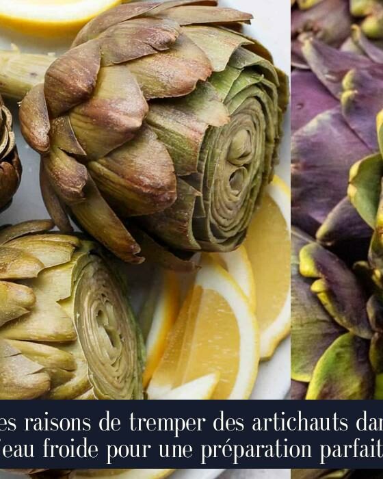 Les raisons de tremper des artichauts dans l'eau froide pour une préparation parfaite