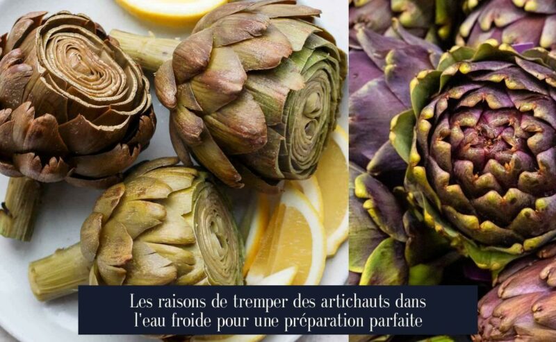 Les raisons de tremper des artichauts dans l'eau froide pour une préparation parfaite