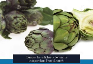 Pourquoi les artichauts doivent-ils tremper dans l'eau citronnée