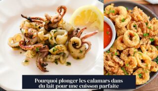 Pourquoi plonger les calamars dans du lait pour une cuisson parfaite