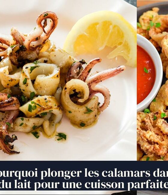 Pourquoi plonger les calamars dans du lait pour une cuisson parfaite
