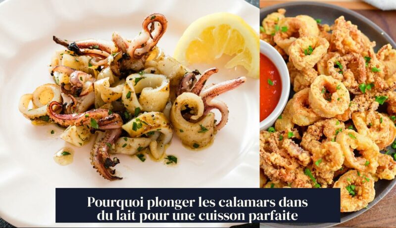Pourquoi plonger les calamars dans du lait pour une cuisson parfaite