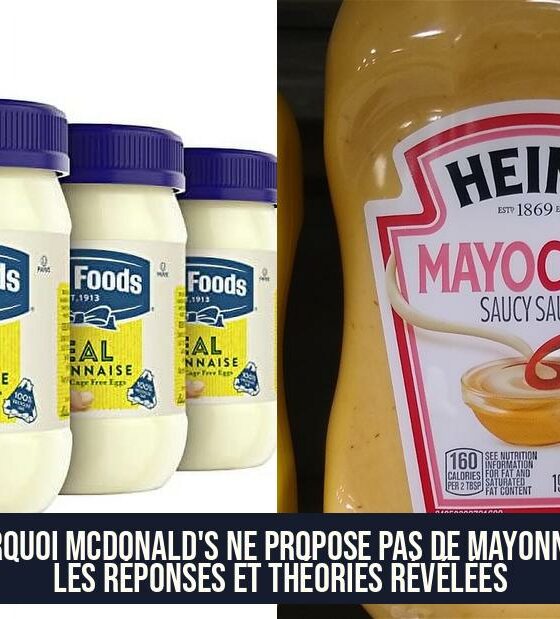 Pourquoi McDonald's ne propose pas de mayonnaise Les réponses et théories révélées